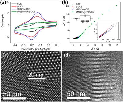 Direct and Sensitive Electrochemical Detection of Bisphenol A in Complex Environmental Samples Using a Simple and Convenient Nanochannel-Modified Electrode